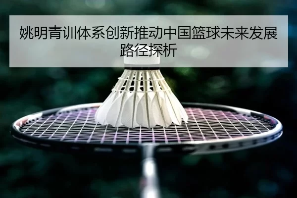 姚明青训体系创新推动中国篮球未来发展路径探析
